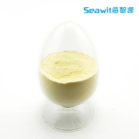 Seawit® DHA Vegan Σκόνη